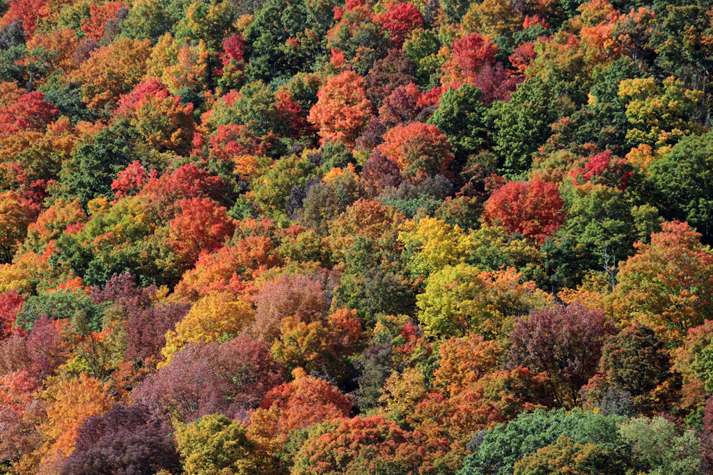 These hues are unreal. (Andrew Phelps/WBUR)