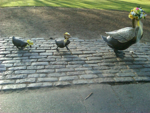 Did you deface these ducks? (Rachel L. Blumenthal via Twitter)