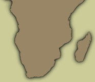 Africa Image