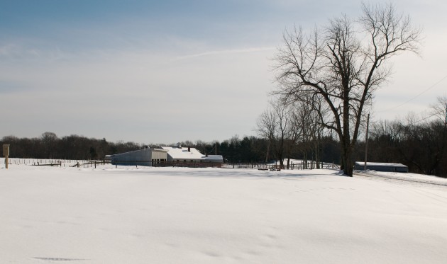Powisset Farm nestled in snow