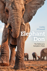 Elephant Don by Caitlin O'Connell