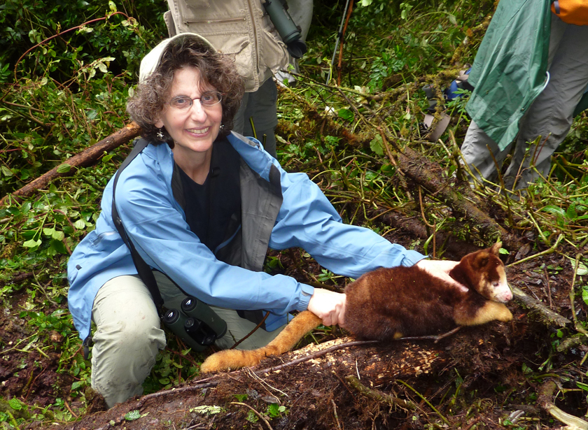 Dr Lisa Dabek tree kangaroo field research_credit Bruce Beehler