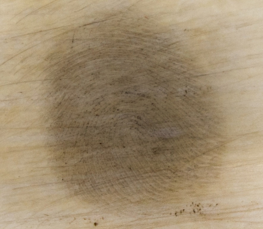 ivory fingerprint-close-Metropolitan Police Service