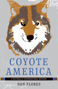 coyote-america